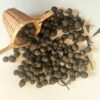 bay leaf seeds