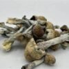 alacabenzi mushrooms